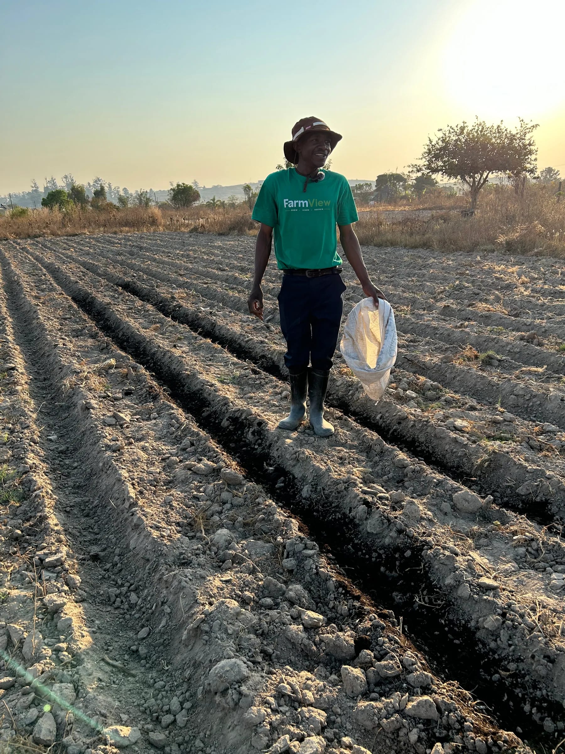 FarmView team member standing between freshly prepared potato ridges